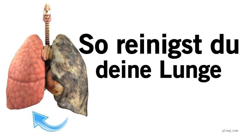 Wie funktioniert die Selbstreinigung der Lunge?