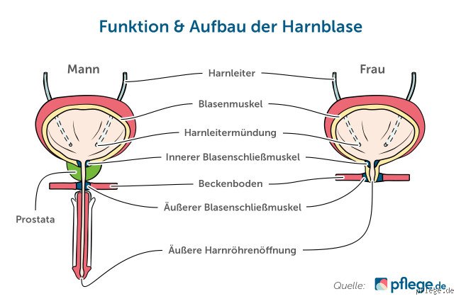 Wie heilt Blase schneller?