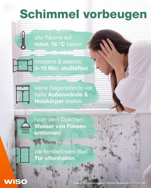 Schimmel-Alarm in der Wohnung? So findest du ihn! (Und was du dann tun musst!)