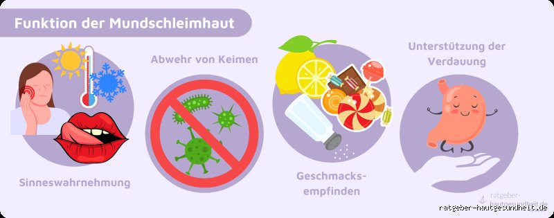 Wie lange braucht die Mundschleimhaut zur Regeneration?