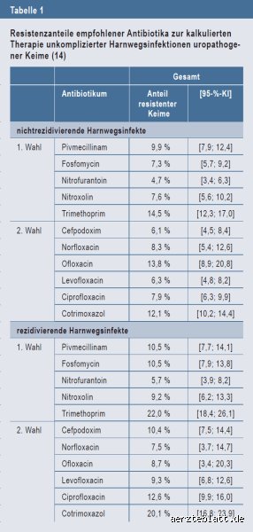 Wie lange dauert eine Harnwegsinfektion mit Antibiotika?