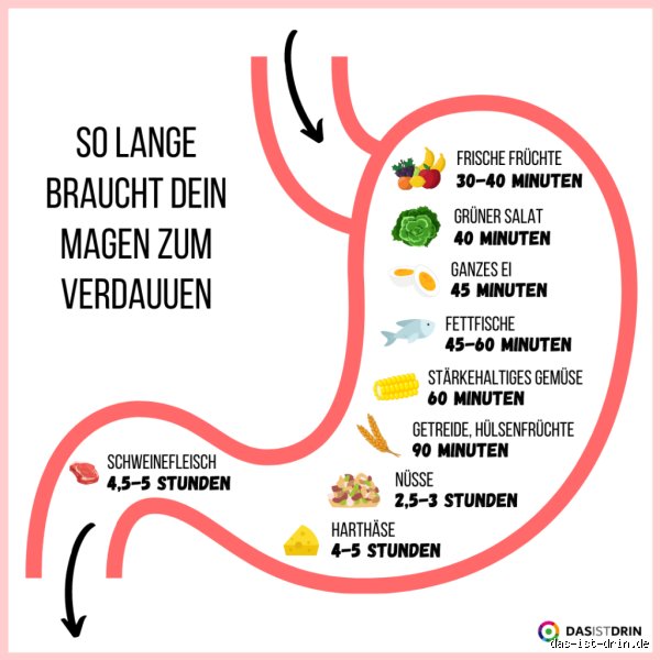 Wie lange dauert es bis der Magen komplett leer ist?