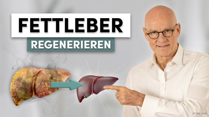 Wie lange braucht eine Fettleber, um sich zu regenerieren? Ein tiefer Einblick