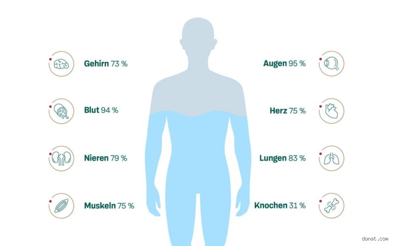 Wie lange dauert es, bis Wasser den Körper verlässt?