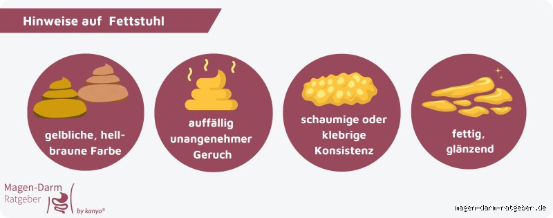 Wie lange dauert Fettstuhl?