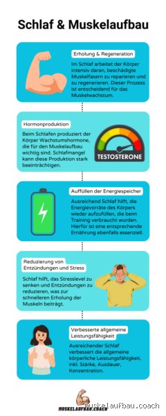 Wie lange sollte man schlafen für Muskelaufbau?