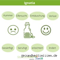 Wie oft kann man Ignatia nehmen?