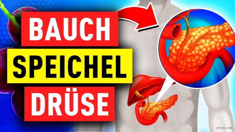 Wie schütze ich meine Bauchspeicheldrüse? Effektive Prävention und Physiologie