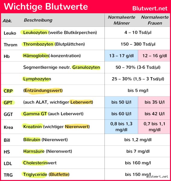 Wie Blutwerte bei zu wenig Flüssigkeit aussehen: Alles, was du wissen musst