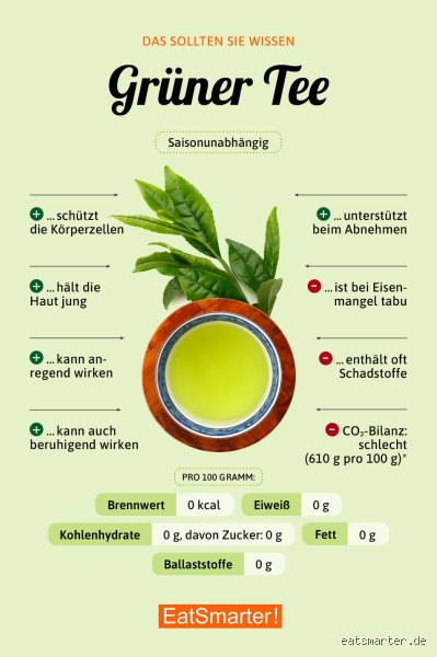 Wie viel grünen Tee maximal?
