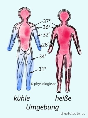 Wie viel Kälte verträgt der menschliche Körper? Grenzen des Überlebens