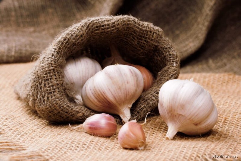 Wie viel Knoblauch senkt den Blutdruck?