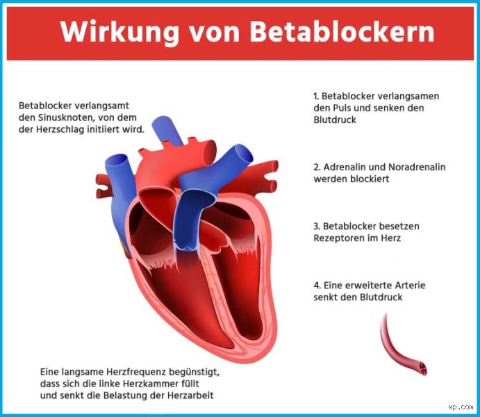 Wie weit darf der Puls senken mit Betablocker?