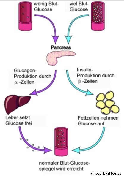 Wie wirkt sich Zucker auf den Blutdruck aus?
