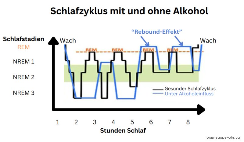 Wird Alkohol im Schlaf schneller abgebaut? Ein Mythos entlarvt