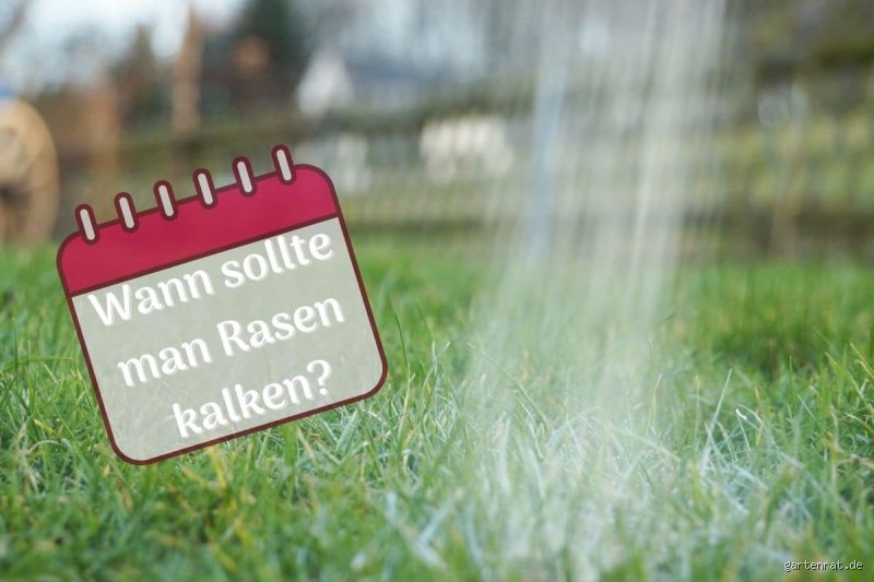 Wo hat man Schmerzen, wenn was mit der Bauchspeicheldrüse nicht stimmt?