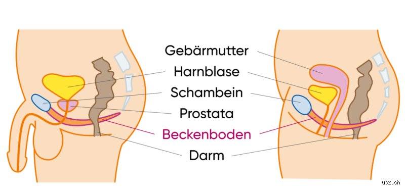 Woher kommt ein schwacher Beckenboden?