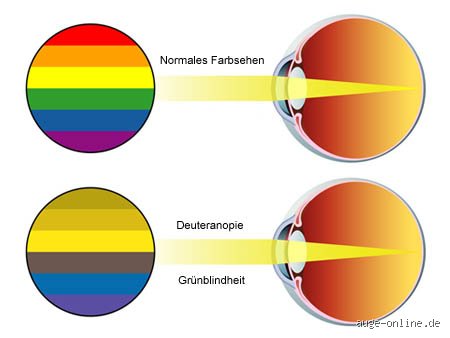 Warum Sehen Wir Gelb? Die faszinierende Physik hinter unserer Lieblingsfarbe