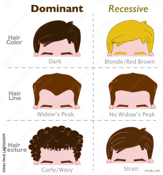 Warum sind schwarze Haare dominant?