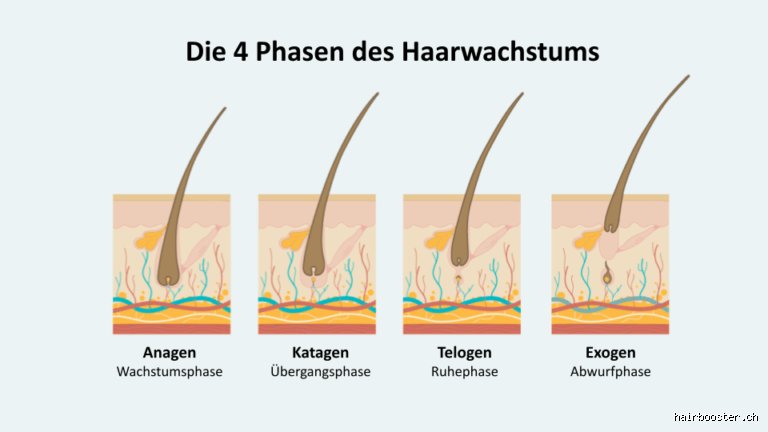 Wo wachsen die Haare am schnellsten?