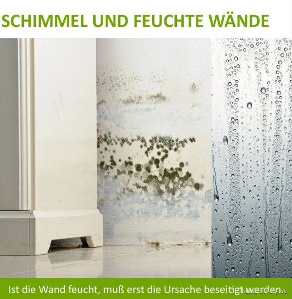 Ist Anti-Schimmel-Farbe sinnvoll?