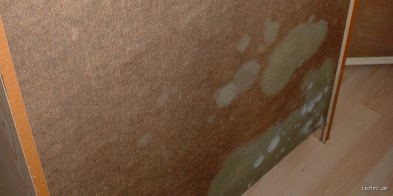 Kann Schimmel von der Wand auf Möbel übergehen?