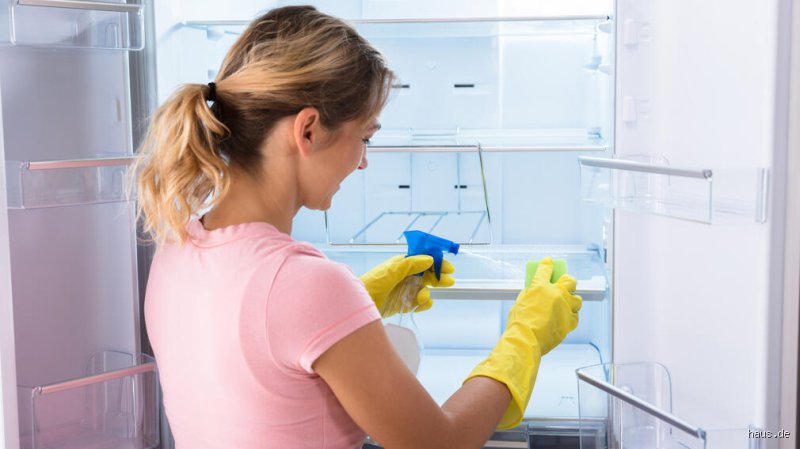 Warum sollte man den Kühlschrank eigentlich mit Essig reinigen? Meine ehrliche Meinung dazu