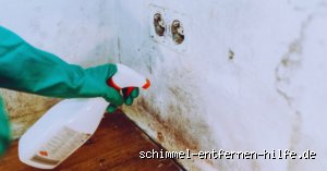 Mittel Gegen Schimmel An Der Wand