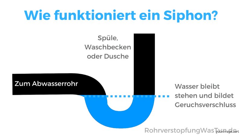 Was zersetzt Kot im Abfluss? Praktische Einblicke aus der Praxis