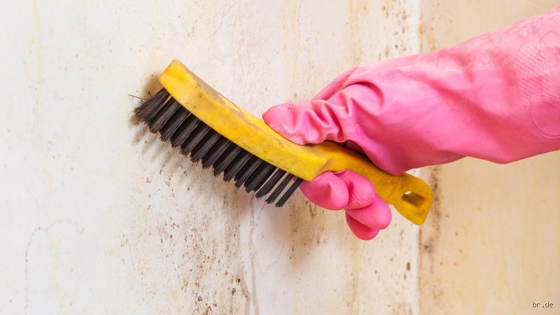 Richtig Heizen gegen Schimmel: So geht's!