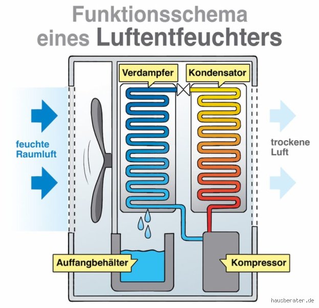 Wie lange dauert es einen Raum zu entfeuchten?