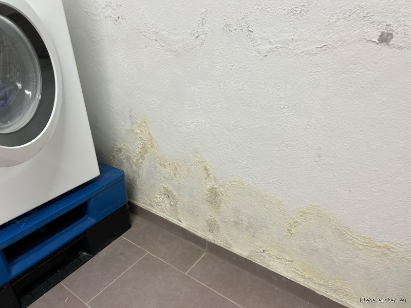 Wie sehen Feuchtigkeitsflecken eigentlich aus? Die subtilen Zeichen eines Problems