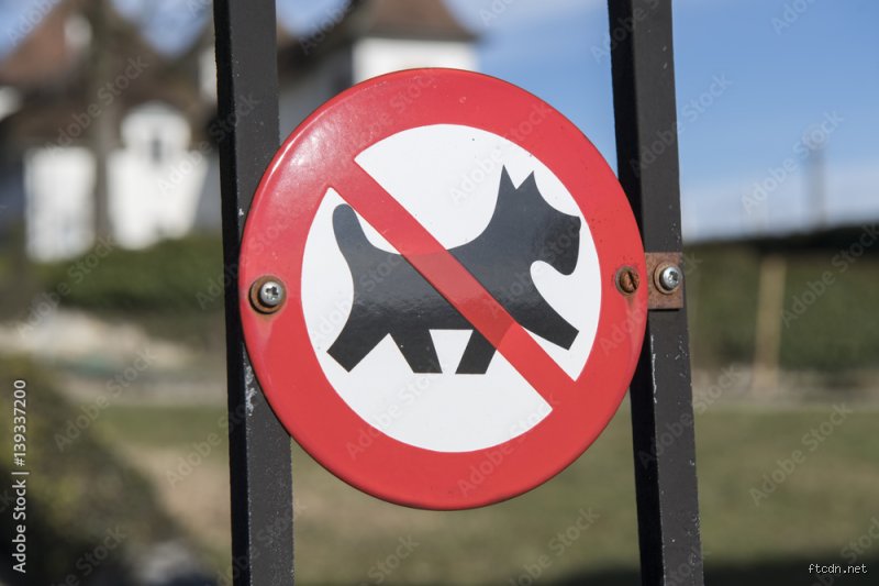 Wo haben Hunde keinen Zutritt? Rechtliche Grenzen und klare Verbote