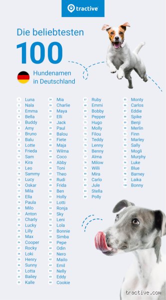 Die zehn beliebtesten Hundenamen: Was ich wirklich denke, wenn ich die aktuellen Trends sehe