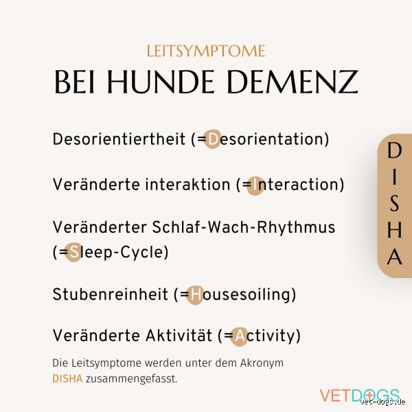Wie merke ich ob mein Hund Demenz hat?