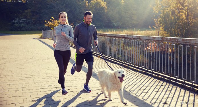 Wie oft muss man mit dem Hund laufen? Der fundamentale Ratgeber für die tägliche Routine