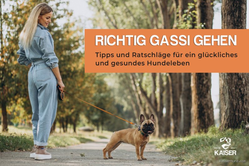 Der ultimative Guide: Wie viel Minuten Gassi gehen muss mein Hund wirklich?