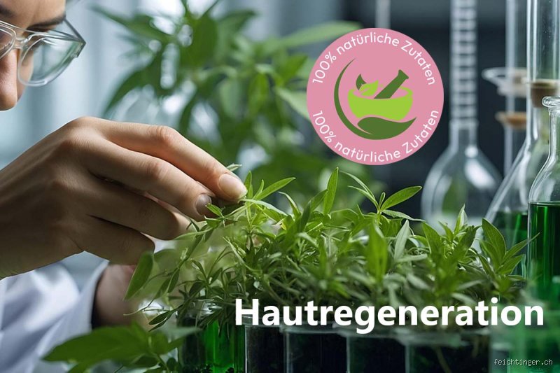 Was regt die Hautregeneration an?