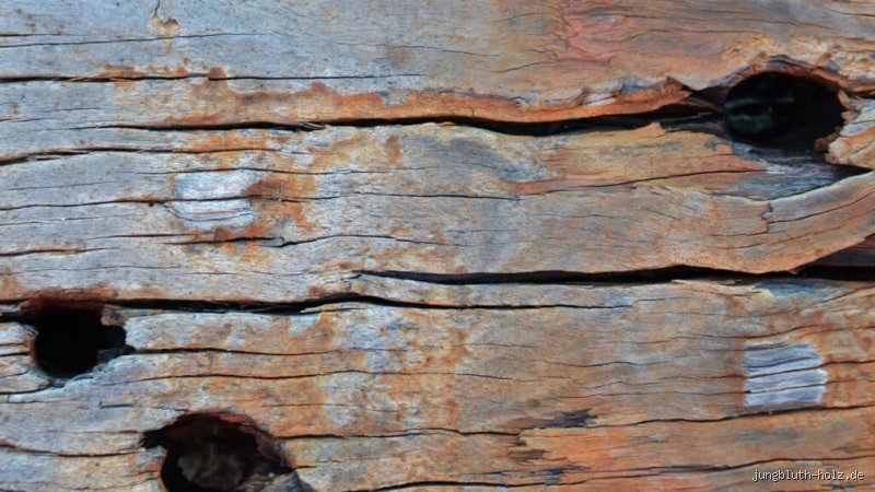 Kann Holz wirklich zu alt werden?