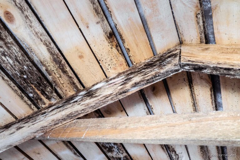 Was macht Chlor mit Holz?