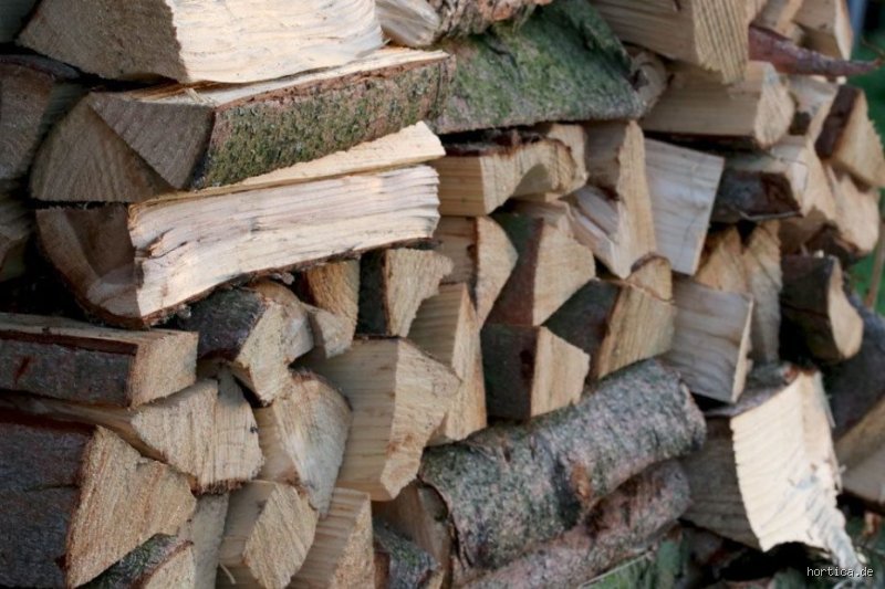 Welches Holz darf nicht in den Kamin?