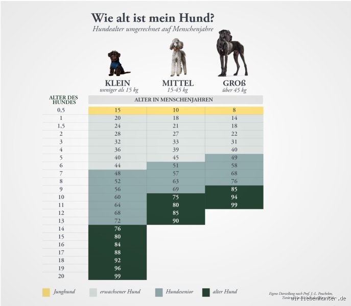 In welchem Alter beginnt man mit dem Absetzen von Welpen?