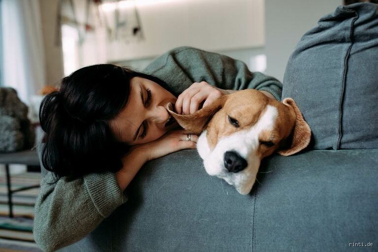 Kann ein Hund einen Menschen lieben?