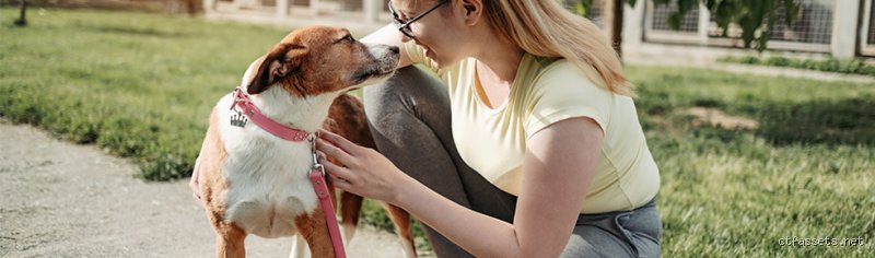Wie reagiert Hund auf ängstliche Menschen? Meine Beobachtungen zur Mensch-Hund-Dynamik