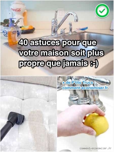 Quel est l'endroit le plus propre de la maison ? La vérité surprenante qui défie le bon sens