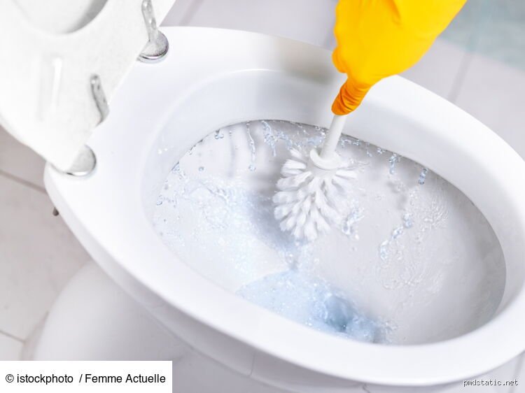 Quel produit mettre dans la brosse à toilette pour une hygiène impeccable ?