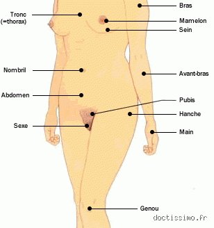 Quelle est la partie du corps la moins lavée ? Enquête sur nos angles morts dermatologiques et les risques associés