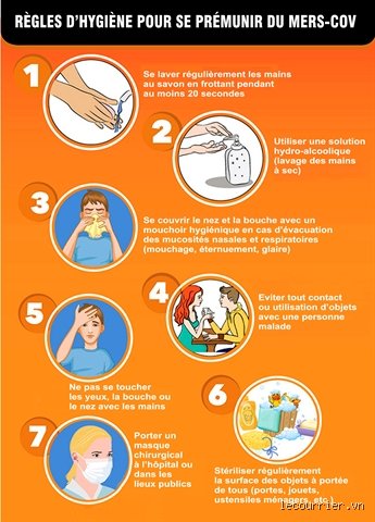 Quelles sont les 5 règles d'hygiène ? Le guide radical pour reprendre le contrôle sur votre environnement microbien