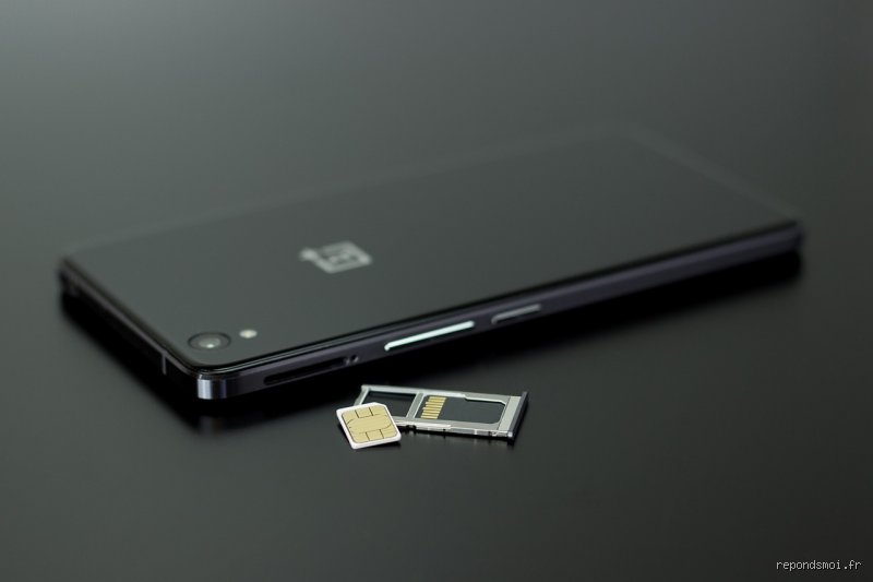 Comment savoir ce qui est stocké sur votre carte SIM ?