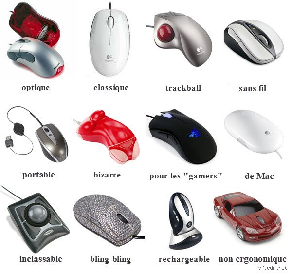 Quels sont les deux types de souris sans fil ?